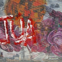 ACTUA. Collage 2,40 x 1,20 m. 2009