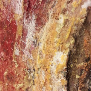 Detail of Indian woman-1