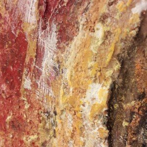 Detail of Indian woman-1
